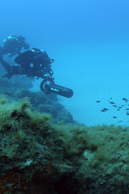 Fragile Schönheit Mittelmeer.
