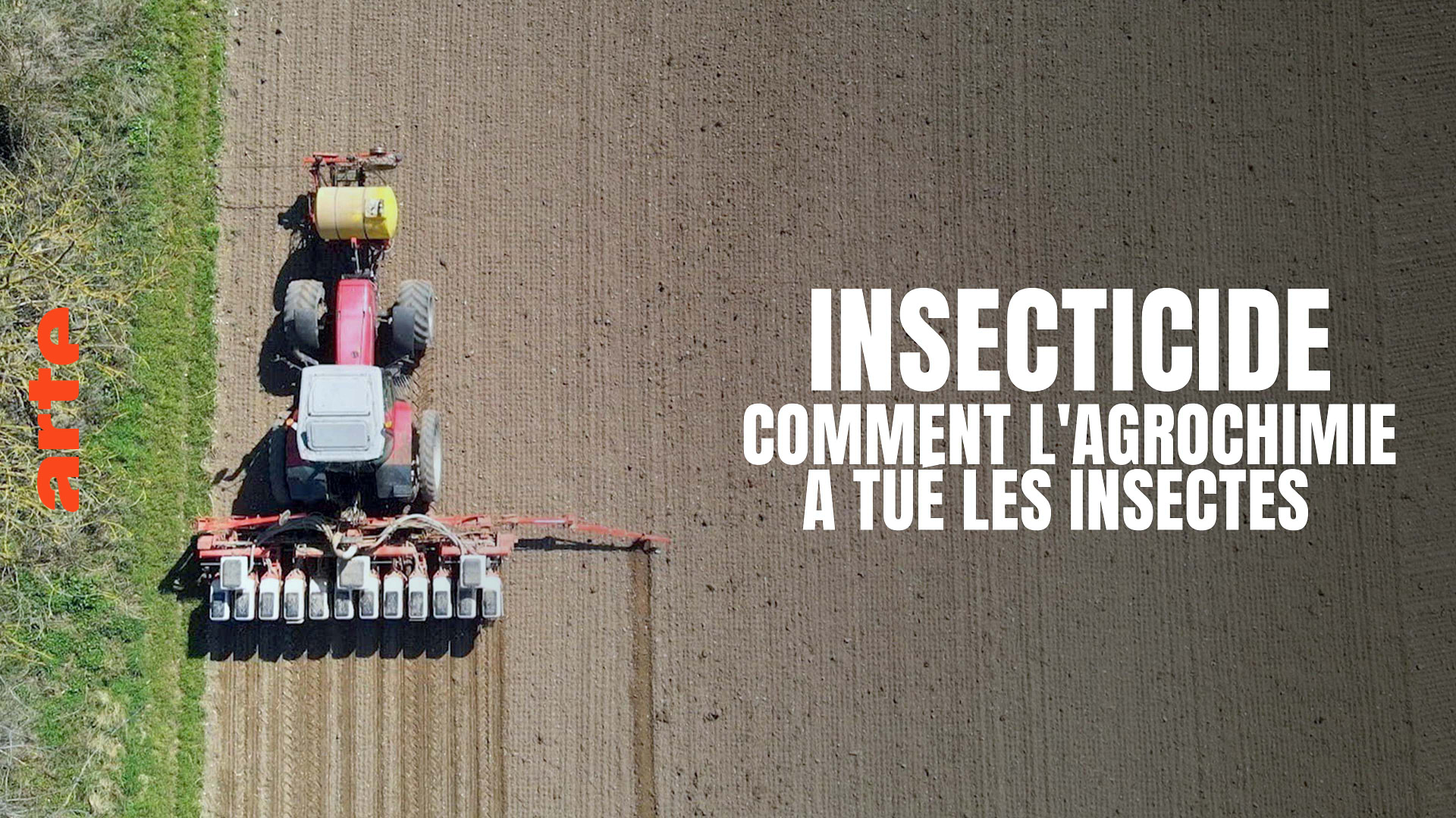 Insecticide - Comment l'agrochimie a tué les insectes - Regarder le documentaire complet | ARTE