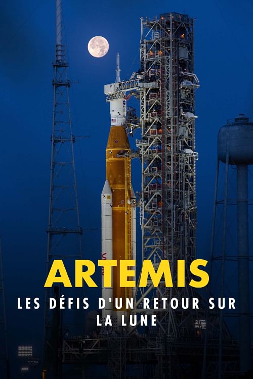 Artemis : les défis d'un retour sur la Lune.