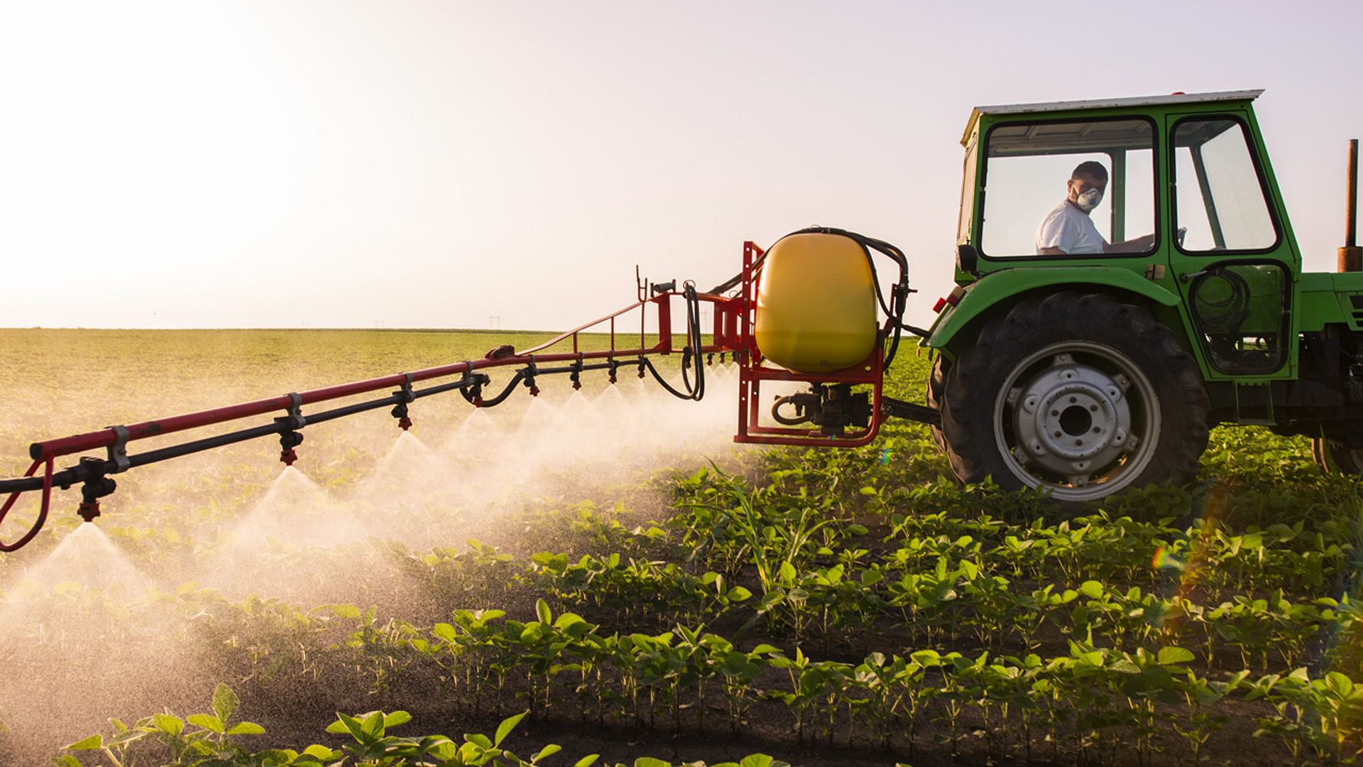 La Crise Agricole A-t-elle Enterré Et Sacrifié Notre Ambition ...