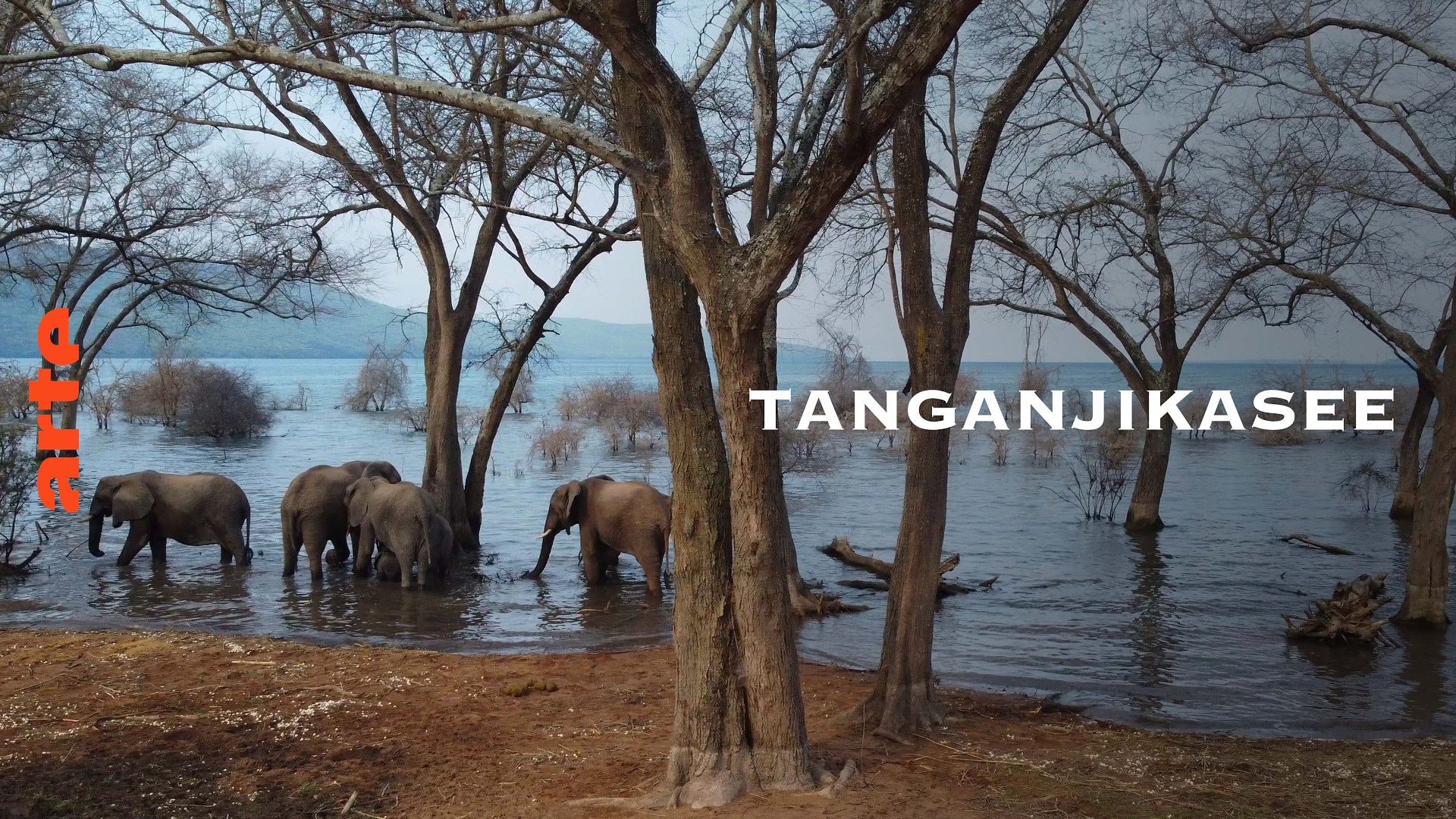 Tanganjikasee - Das blaue Herz Afrikas