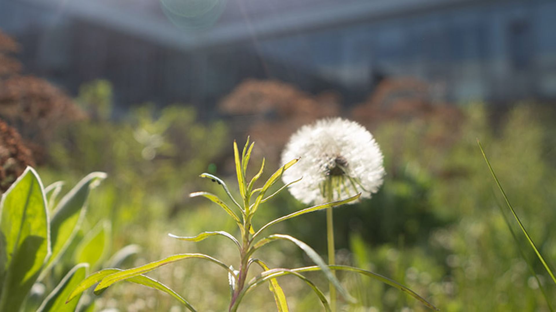 Verantwortung und Engagement