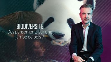 Les questions qui fâchent.