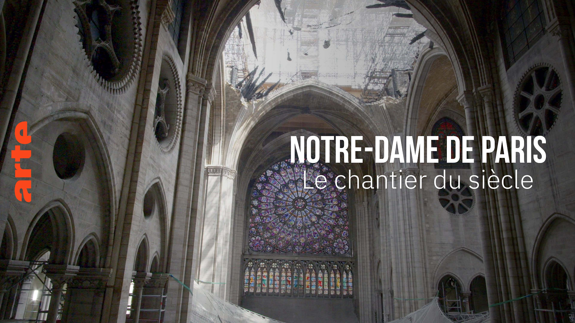 NotreDame de Paris, le chantier du siècle (1/3) La quête de la