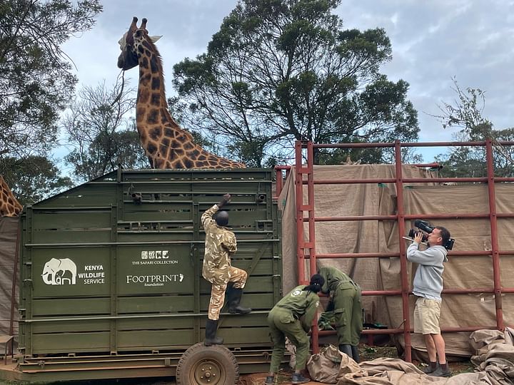  Le reportage Kenya, des girafes pour la paix, labellisé Green Motion © MedienKontor/Therese Engels