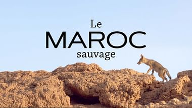Le Maroc sauvage