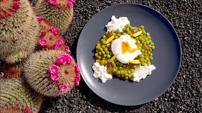 Cuisines des terroirs