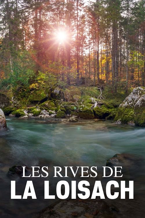 Le long des rives de la Loisach.