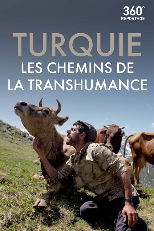 Turquie, les chemins de la transhumance.