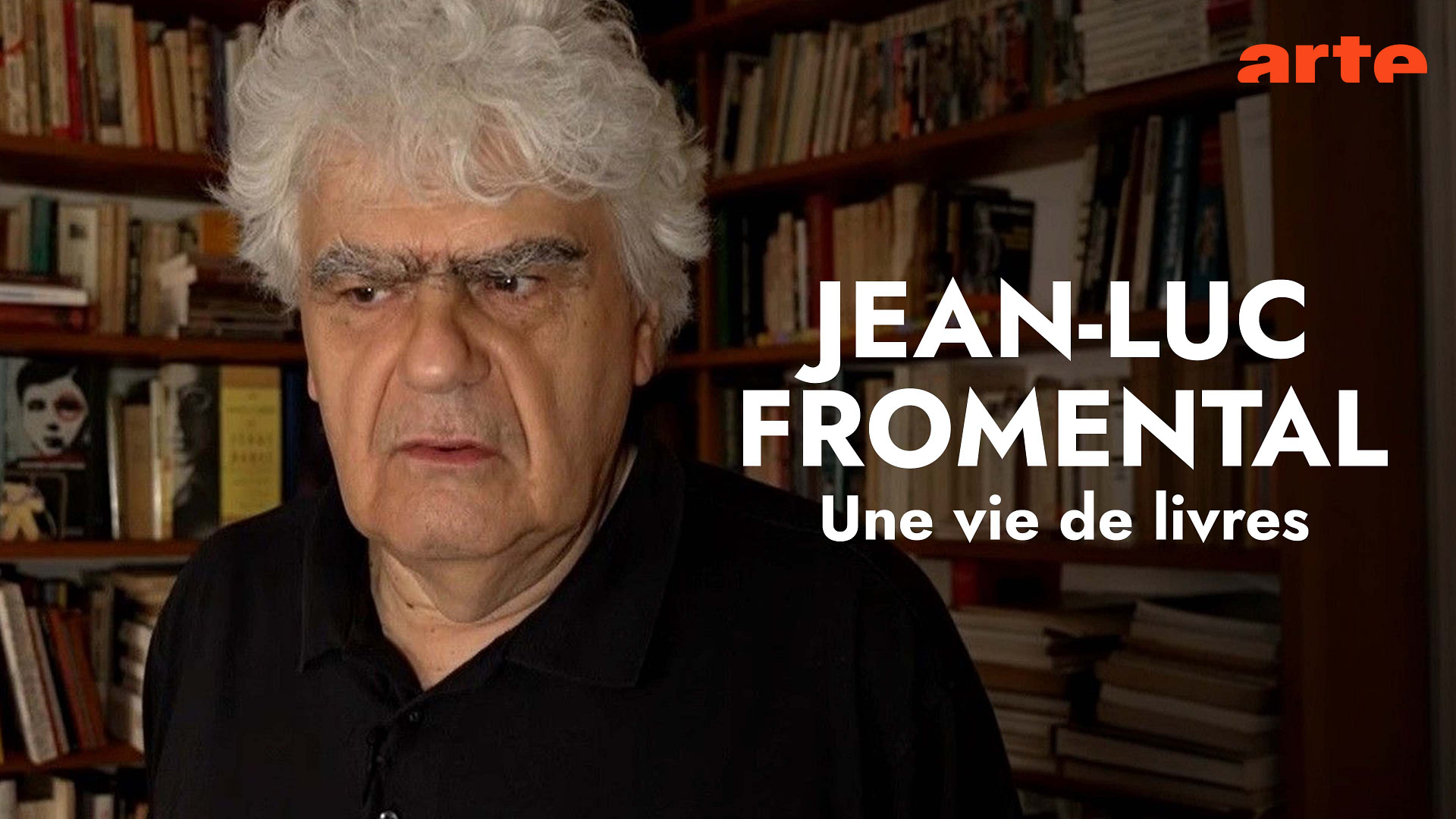 JeanLuc Fromental, une vie pleine de livres ARTE Info Plus