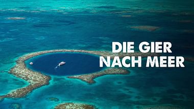 Die Gier nach Meer