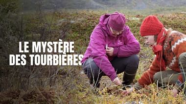 Le mystère des tourbières.