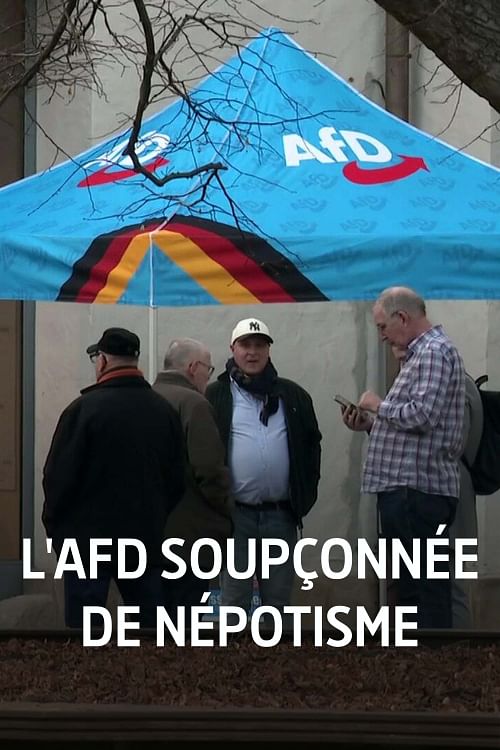 Allemagne : l'AfD soupçonnée de népotisme.