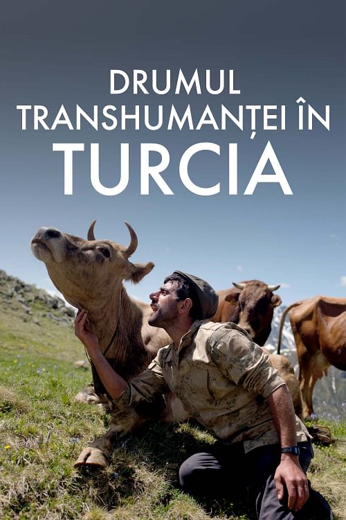 Turcia: drumul transhumanței.