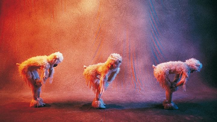  Sheep, programme design by Hélène Guétary, over a soundtrack by Nova/Andrew Orr, 1992