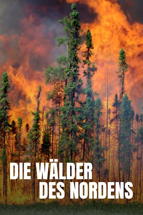 Die Wälder des Nordens.