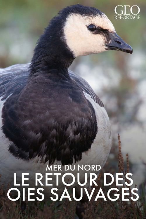 GEO Reportage.