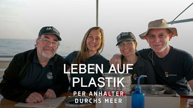Leben auf Plastik
