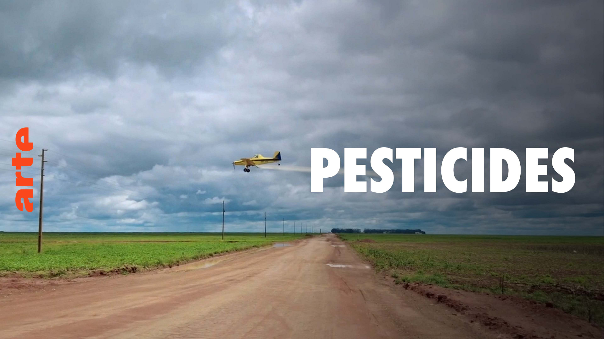 Pesticides : l’hypocrisie européenne - Regarder le documentaire complet ...