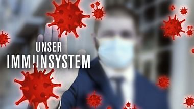 Unser Immunsystem