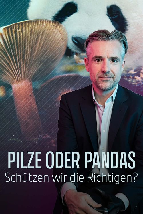 Pilze oder Pandas.