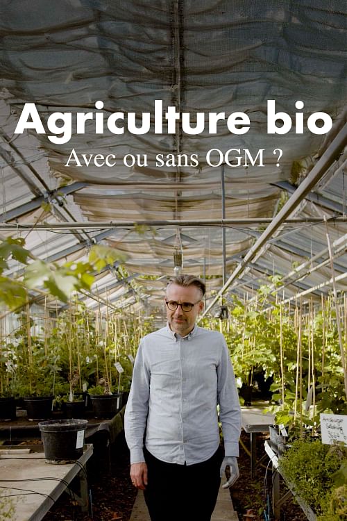 Les questions qui fâchent.