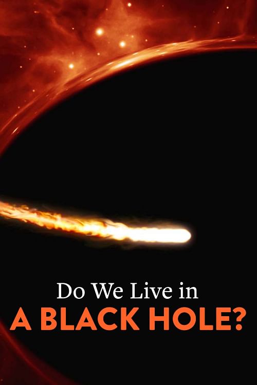 Do We Live in a Black Hole?.
