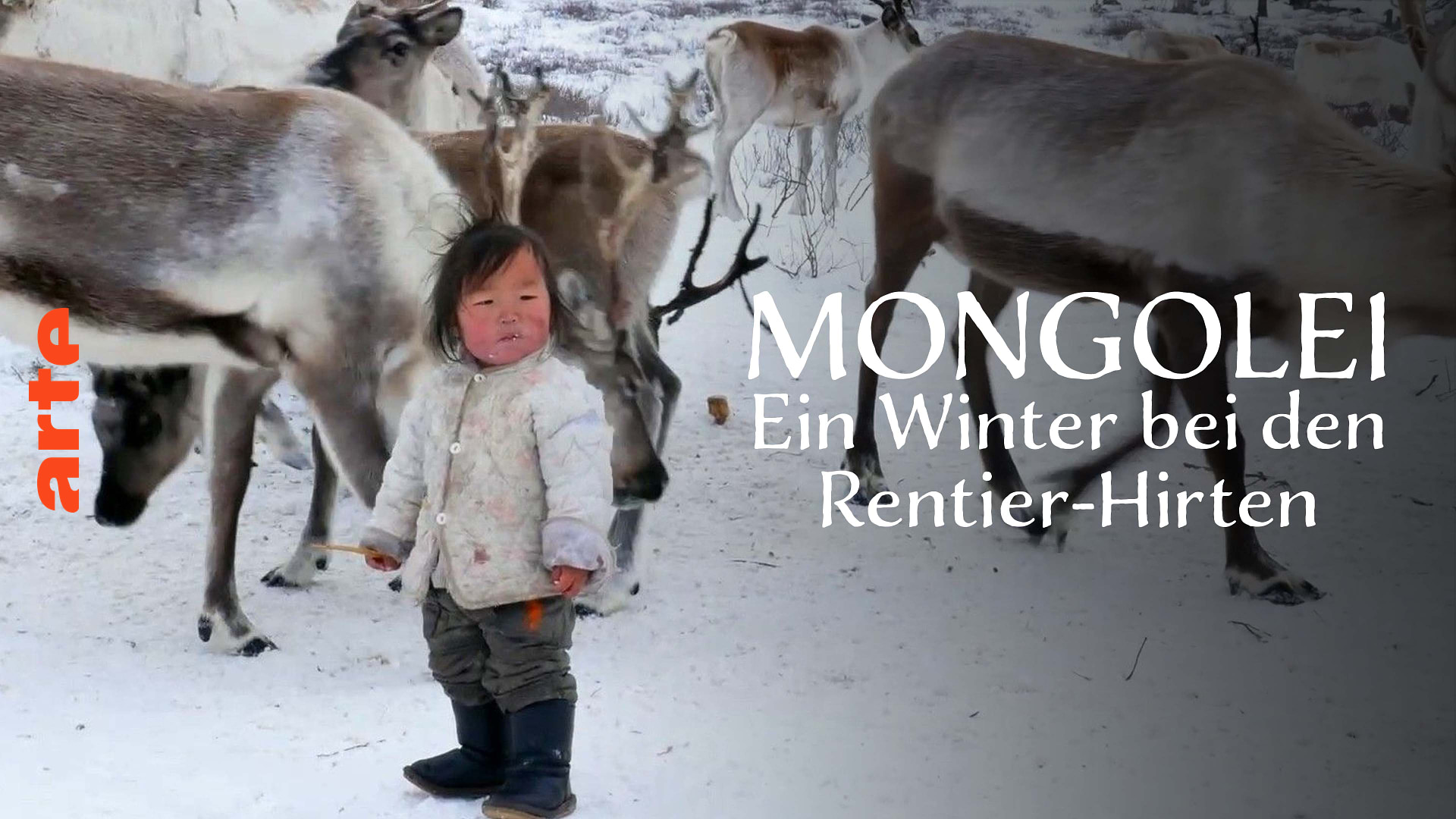 Mongolei - Ein Winter bei den Rentier-Hirten