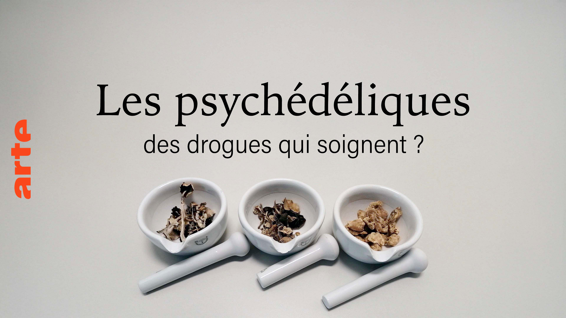 Les psych&eacute;d&eacute;liques, des drogues qui soignent ? - Regarder le documentaire complet | ARTE