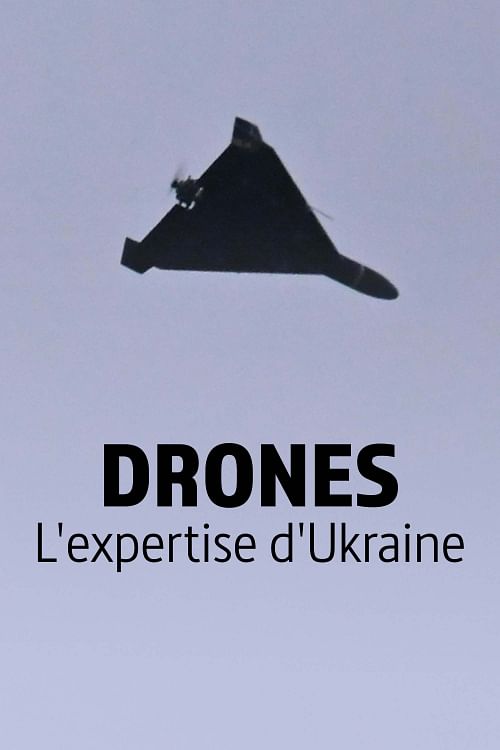 Drones Shahed : l'Ukraine propose son expertise.