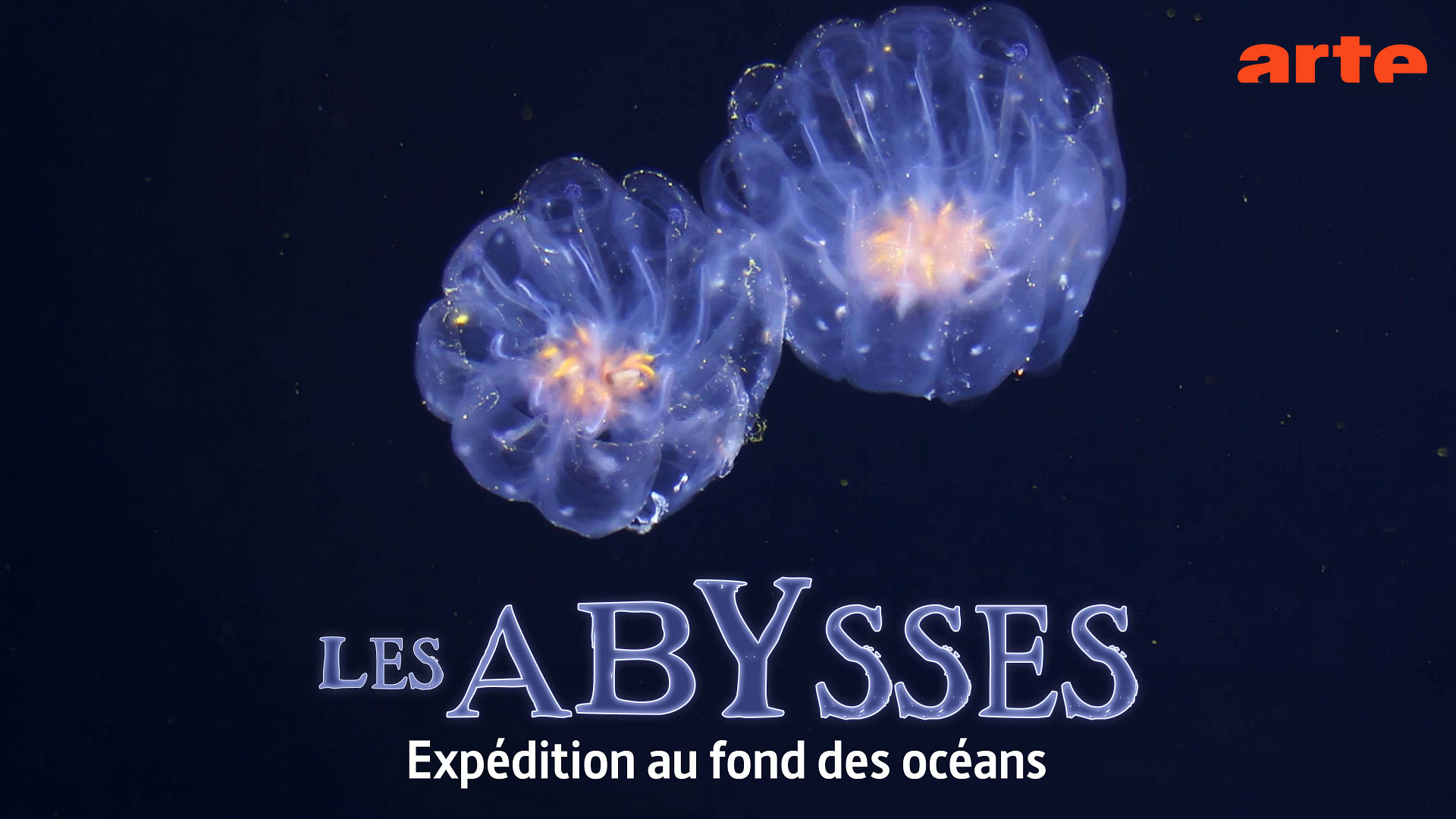 Ascenseur pour les abysses - Expédition au fond des océans - Regarder le documentaire complet | ARTE