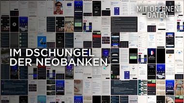 Mit offenen Daten: Im Dschungel der Neobanken