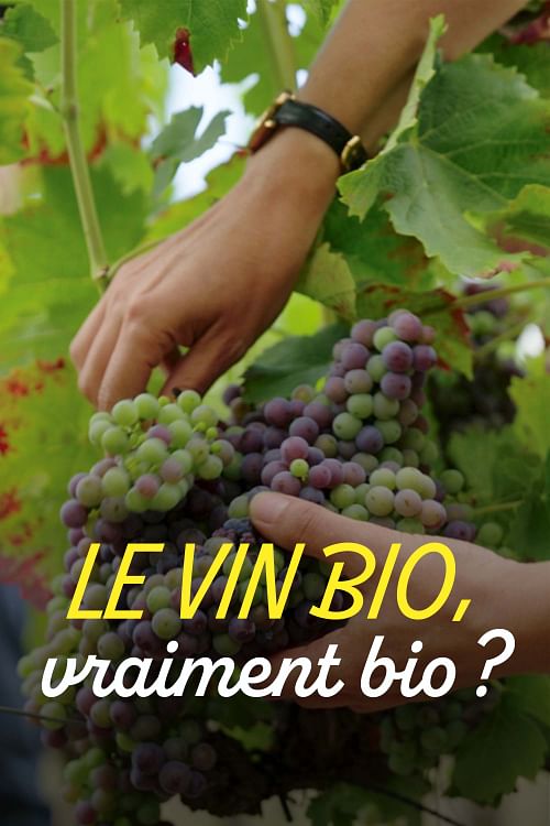 Le vin bio, vraiment bio ?.