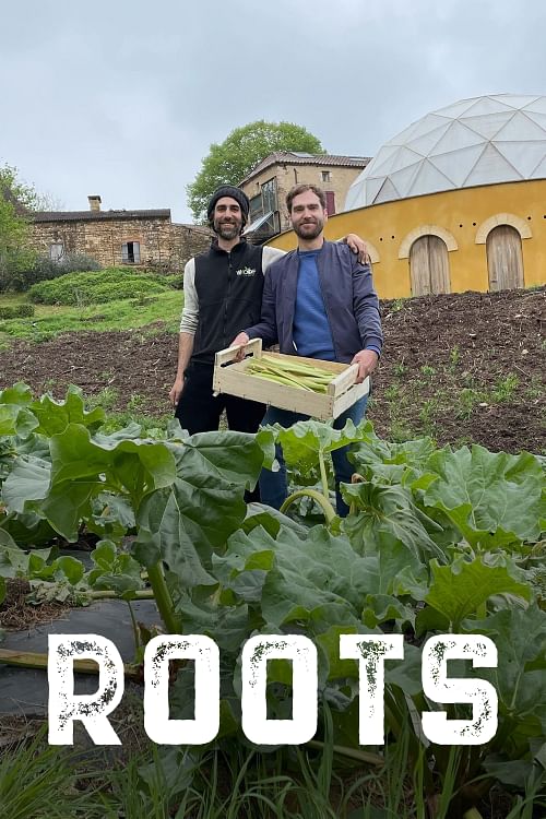 Roots.