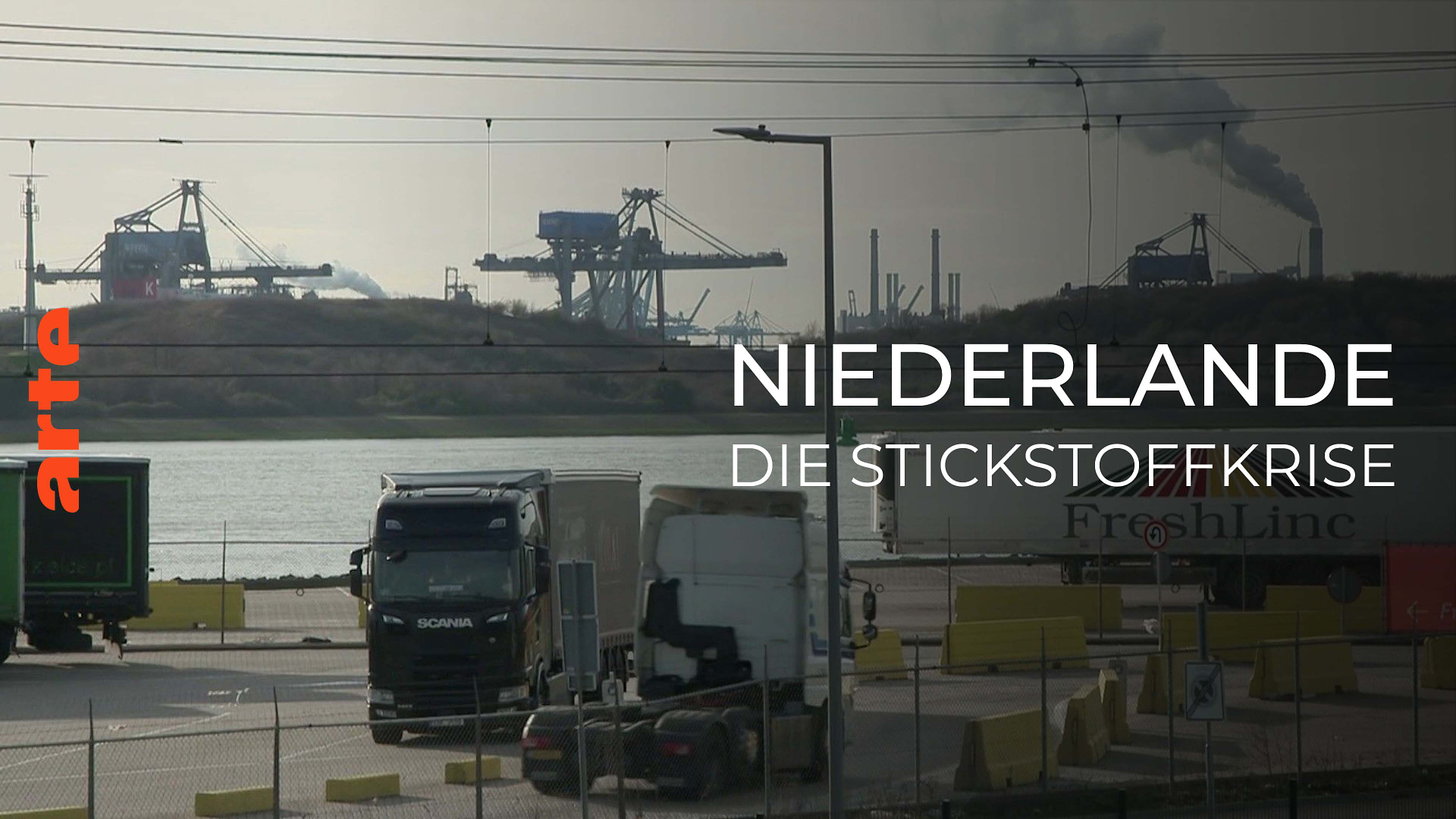 Niederlande: Die Stickstoffkrise